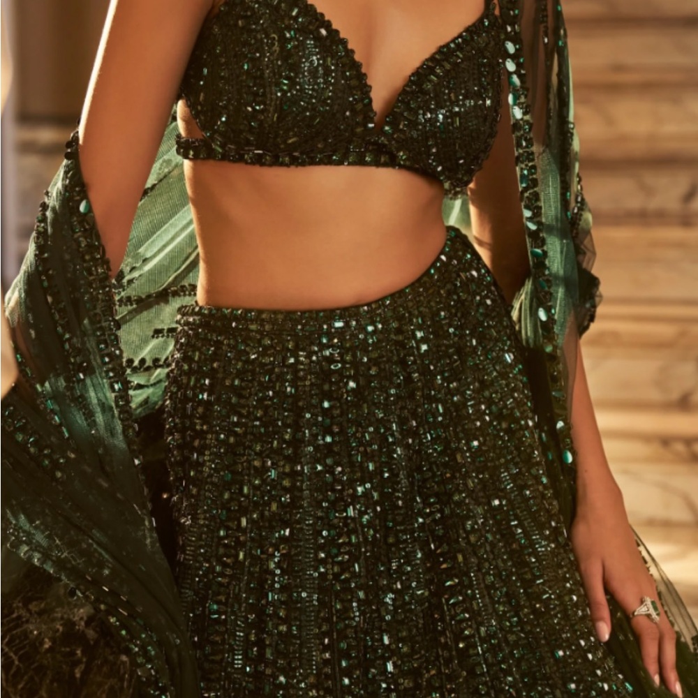 Elegant Green Embellished Lehenga Set